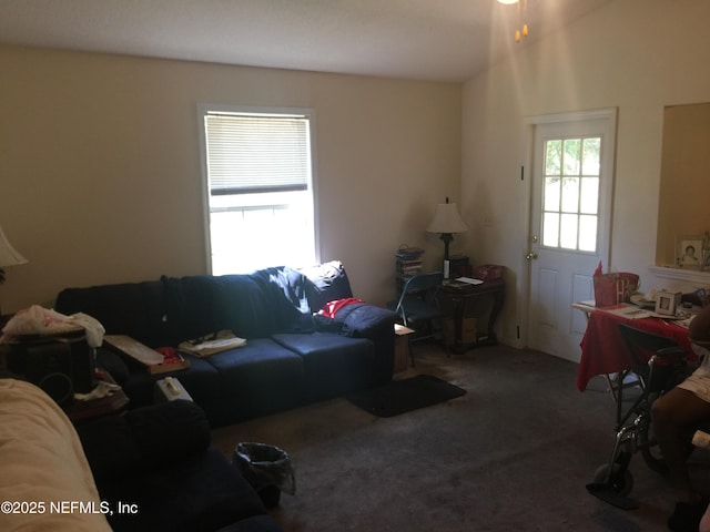 living area with carpet