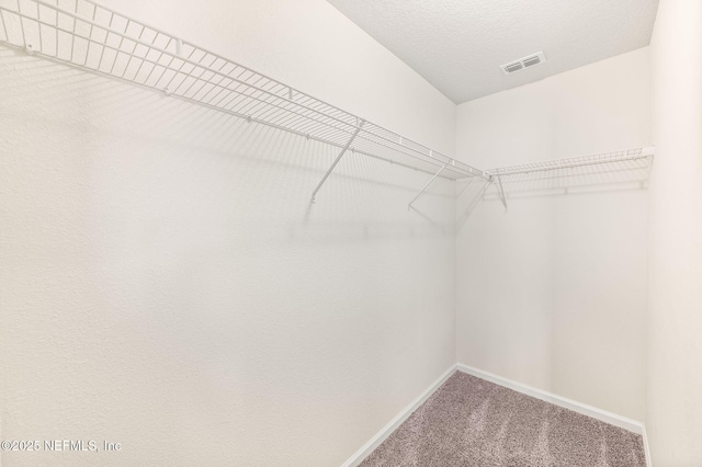 spacious closet with carpet flooring