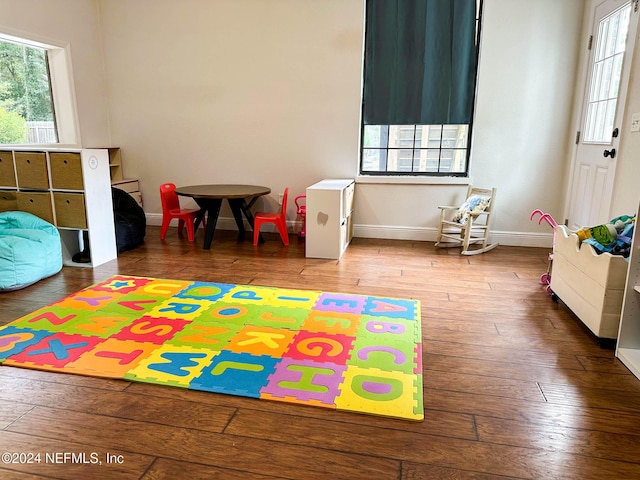 game room featuring plenty of natural light and hardwood / wood-style flooring