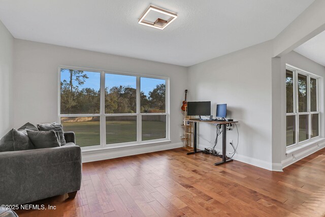 994 Lakeridge Dr, Orange Park, FL 32065 - home office featuring baseboards and wood finished floors