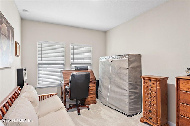 home office featuring light colored carpet