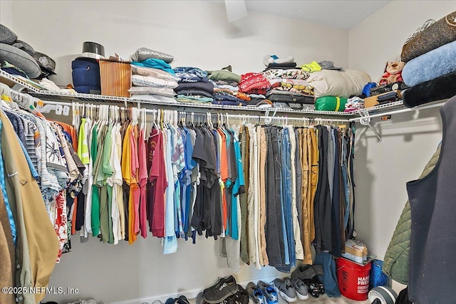 view of spacious closet