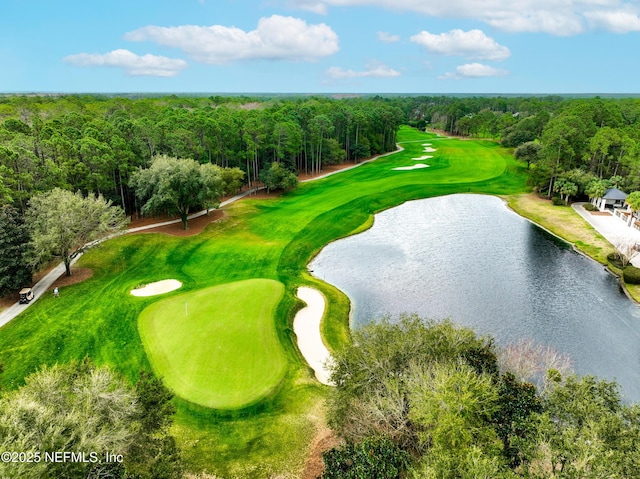 95384 Bermuda Dr, Fernandina Beach, FL 32034 - exterior space featuring view of golf course, a view of trees, and a water view