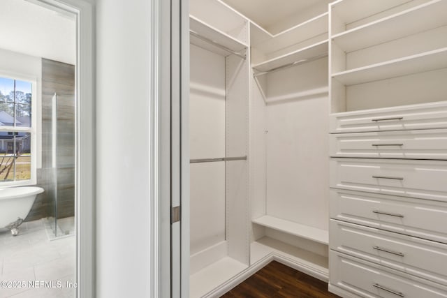 spacious closet featuring dark wood-style flooring