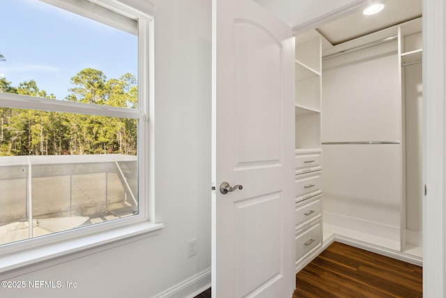 walk in closet featuring dark wood-type flooring