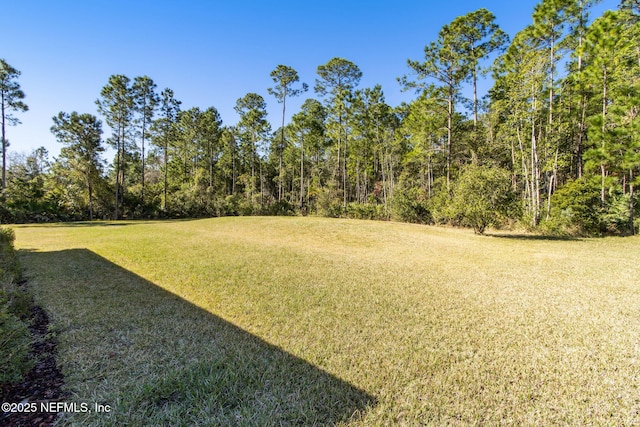 view of yard featuring a wooded view