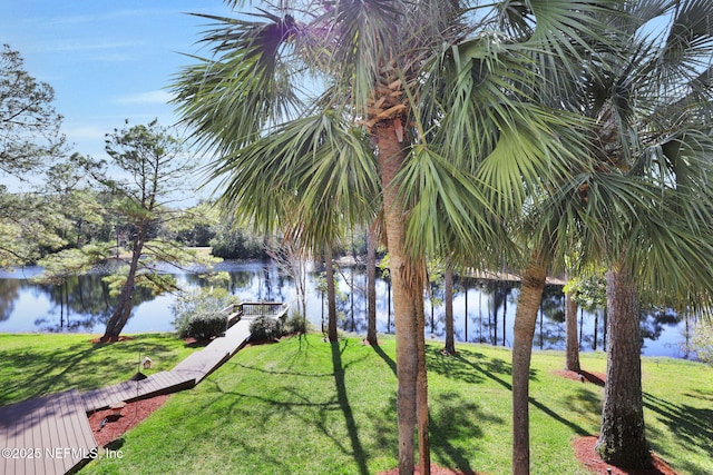 view of water feature with a boat dock