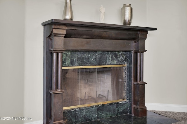 room details featuring baseboards and a premium fireplace