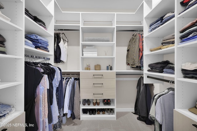 spacious closet with carpet