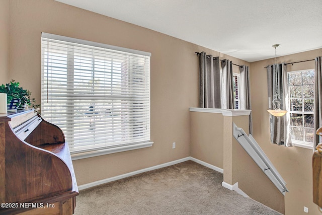 living area featuring carpet floors