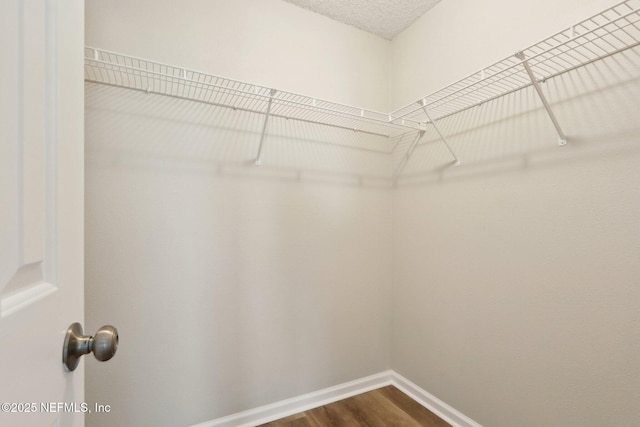 walk in closet featuring dark wood finished floors