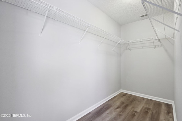 walk in closet featuring dark wood-style floors