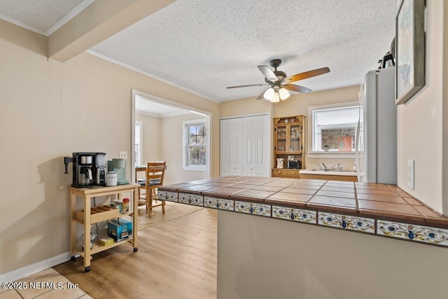 interior space featuring light wood-style flooring, crown molding, tile counters, and a wealth of natural light