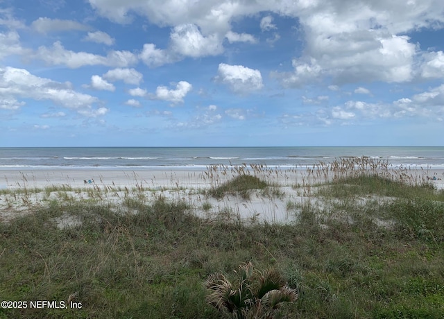 water view with a view of the beach