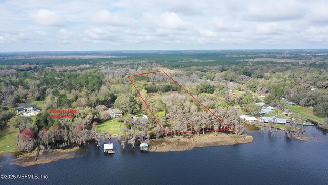 aerial view with a water view and a wooded view