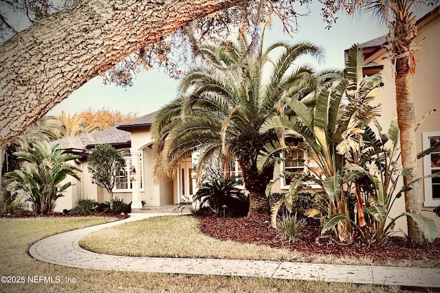 exterior space with stucco siding