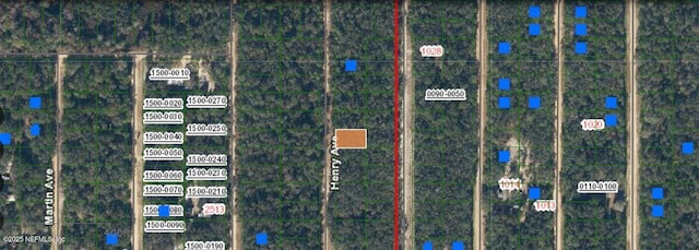 Listing photo 3 for 0000 Henry Ave, Florahome FL 32140