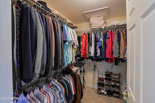 3383 Olympic Dr, Green Cove Springs, FL 32043 - spacious closet featuring carpet floors