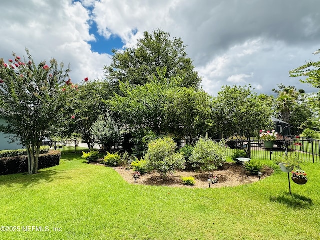 3383 Olympic Dr, Green Cove Springs, FL 32043 - view of yard featuring fence