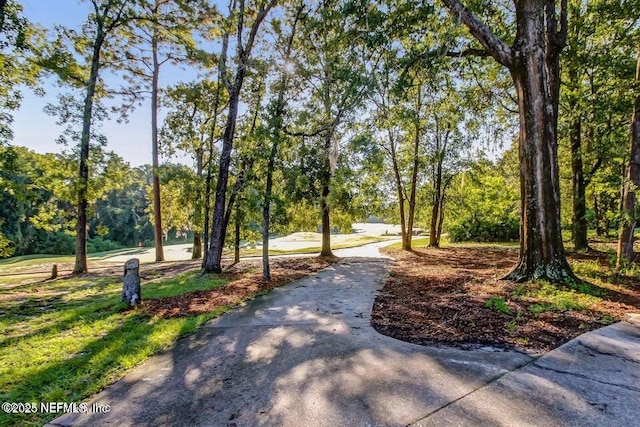 3383 Olympic Dr, Green Cove Springs, FL 32043 - view of community