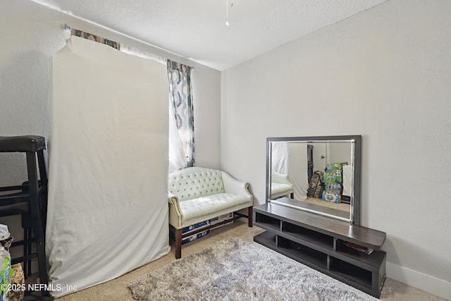 10605 Arnez Rd, Jacksonville, FL 32218 - living area with a textured ceiling, carpet, and baseboards