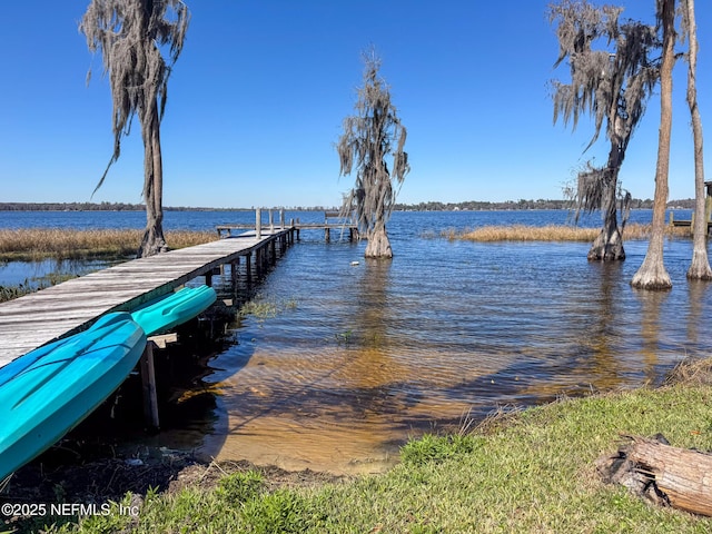 dock area featuring a water view