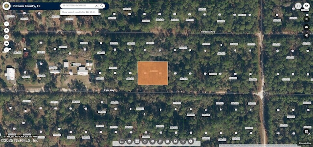 324 Palm Way, Georgetown FL, 32139 land for sale