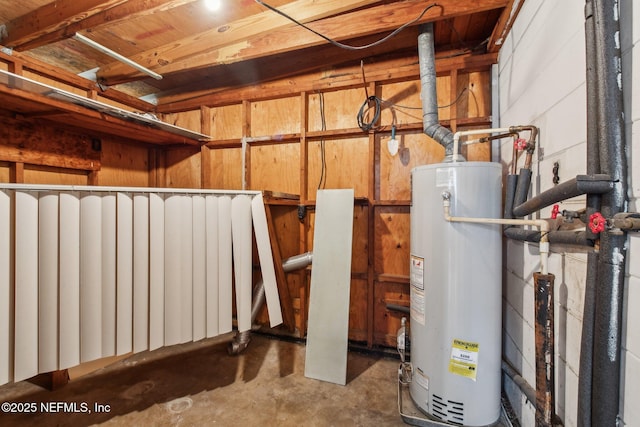 utilities featuring radiator heating unit and gas water heater