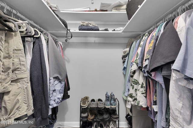 view of spacious closet