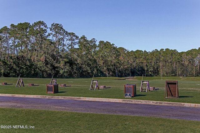 view of community with a lawn