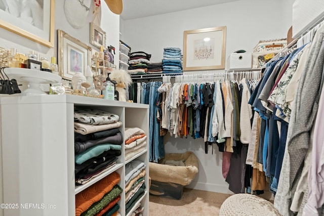 walk in closet featuring carpet flooring