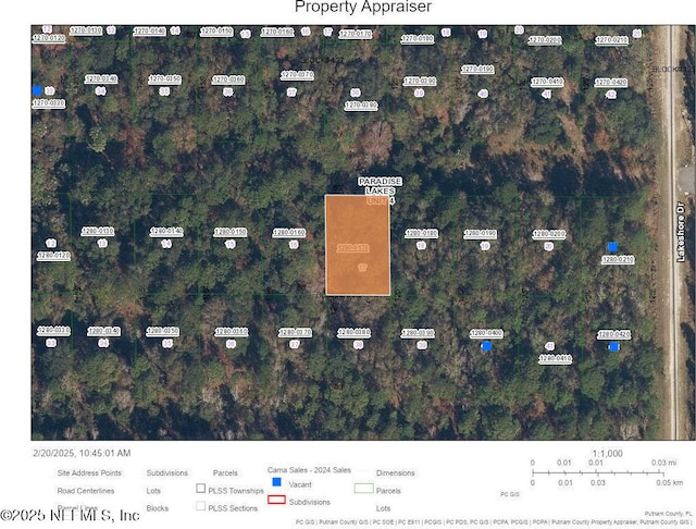 333 Laisy Dr, Georgetown FL, 32139 land for sale