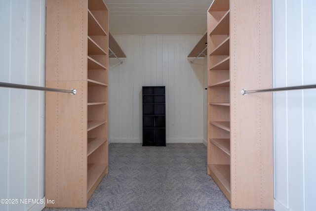 walk in closet with light carpet