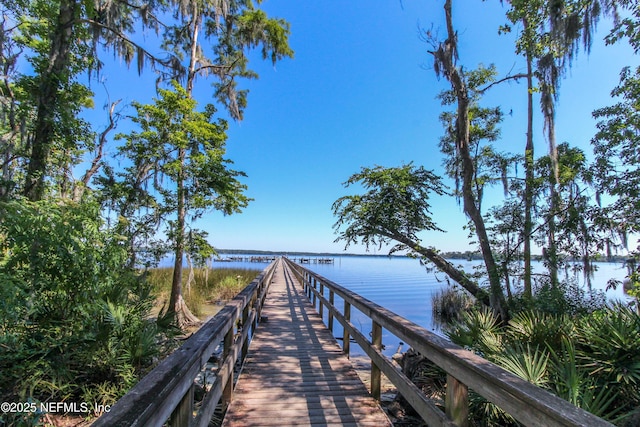 dock area featuring a water view