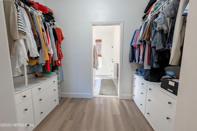 spacious closet featuring light wood-type flooring