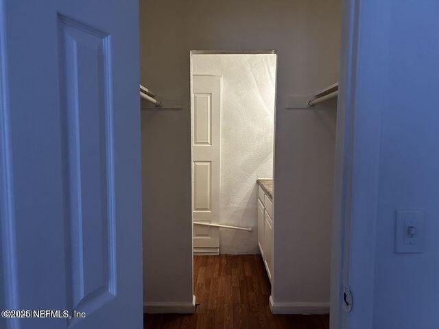 walk in closet with dark wood finished floors