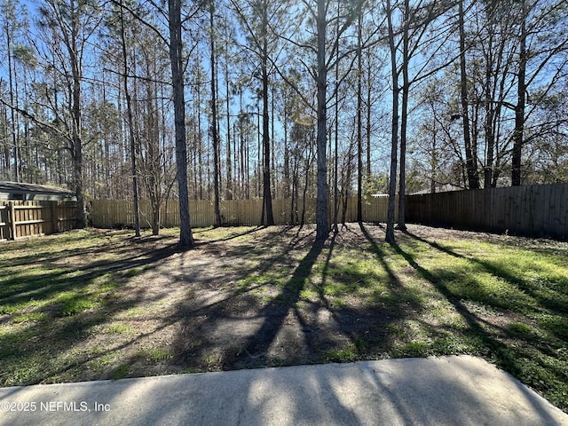 view of yard with a fenced backyard