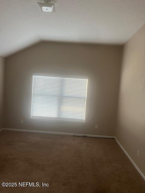 spare room with lofted ceiling, carpet flooring, a textured ceiling, and baseboards