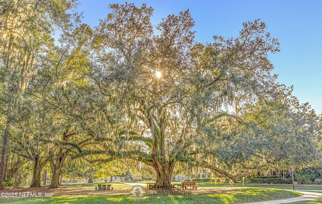 surrounding community featuring a lawn