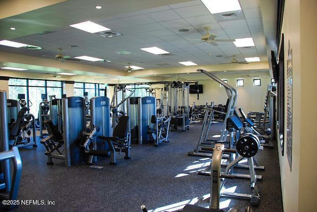 exercise room with ceiling fan, visible vents, and a paneled ceiling