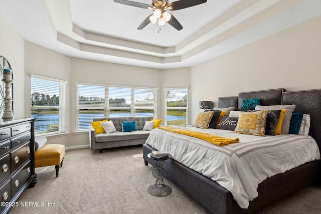 986 Prairie Dunes Ct, Orange Park, FL 32065 - bedroom with a tray ceiling, multiple windows, and light colored carpet