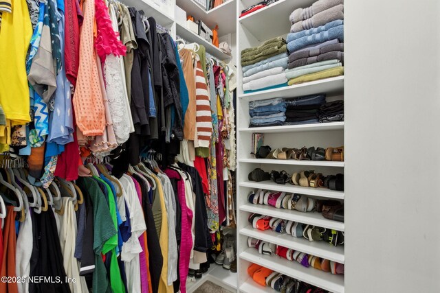 986 Prairie Dunes Ct, Orange Park, FL 32065 - view of walk in closet