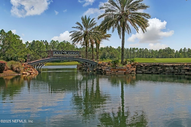 986 Prairie Dunes Ct, Orange Park, FL 32065 - property view of water