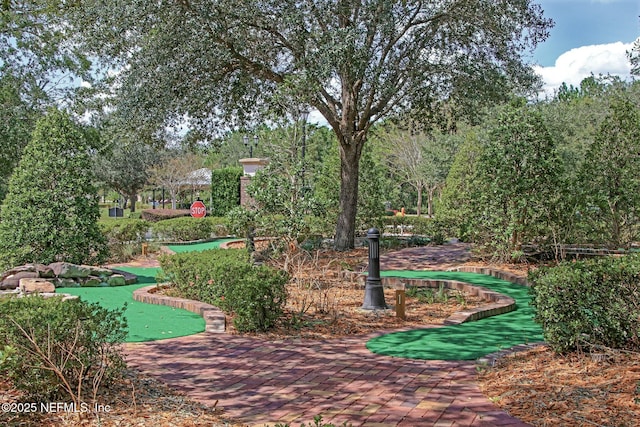 986 Prairie Dunes Ct, Orange Park, FL 32065 - view of community