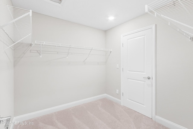 walk in closet featuring light colored carpet