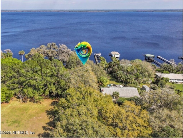 253 S Prospect St, Crescent City FL, 32112 land for sale