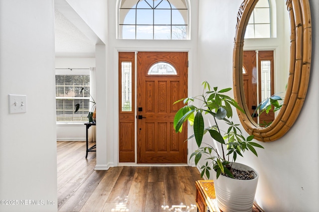 entrance foyer featuring plenty of natural light, baseboards, a towering ceiling, and wood finished floors