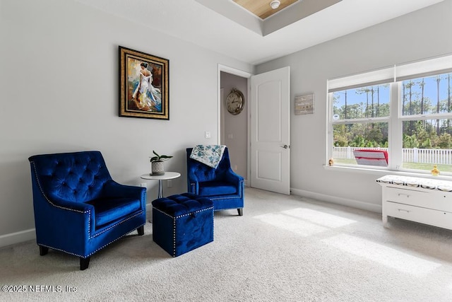34072 Lavender Parke Dr, Fernandina Beach, FL 32034 - sitting room with carpet, baseboards, and a raised ceiling