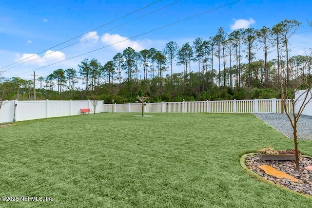 34072 Lavender Parke Dr, Fernandina Beach, FL 32034 - view of yard with a fenced backyard