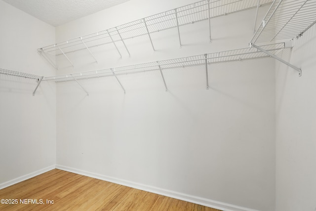 spacious closet featuring light wood-type flooring